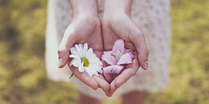 Hamilton-Legacy Business Protection - Hands holding fragile flower